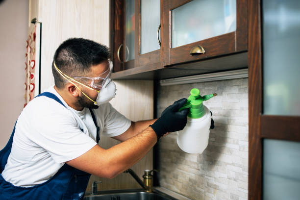 Best Rat Extermination Near Me  in Crothersville, IN