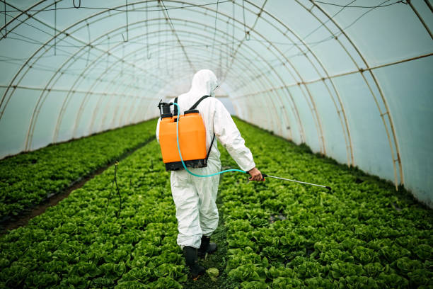 Best Residential Pest Control  in Crothersville, IN