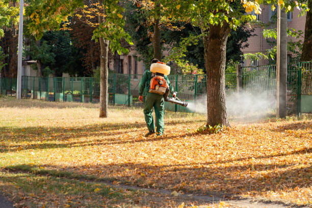 Best Wasp Removal Services  in Crothersville, IN