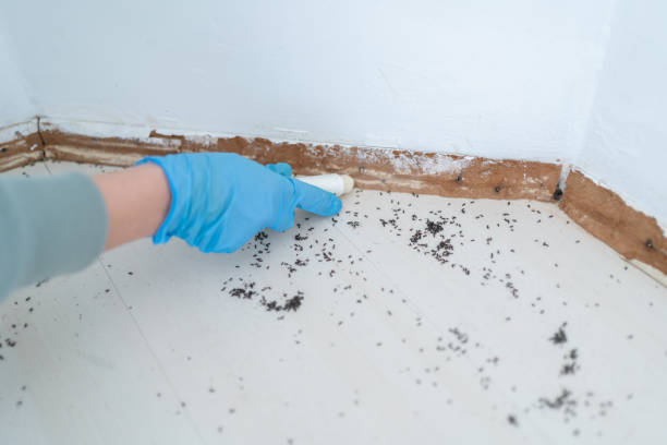 Best Pest Prevention Services  in Crothersville, IN